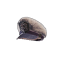 head