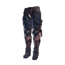 legs