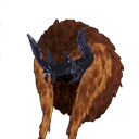 head