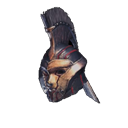head