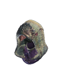 head