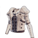 chest