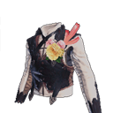 chest
