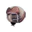 head