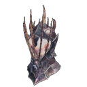 head