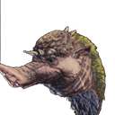 head