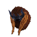 head