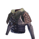 chest