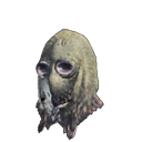 head
