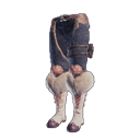 legs