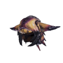 head